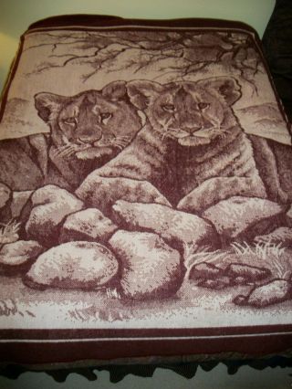 Vtg San Marcos Blanket Lion Cubs Maroon Burgundy - White 91x66