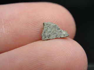 Meteorite Nwa 6963 Achondrite Martian Shergottite - G201 - 0361 - 0.  22g - Great 1