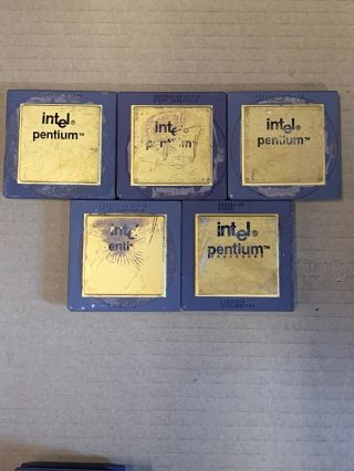 5x Intel Pentium Vintage Ceramic` Cpu For Gold Scrap Recovery