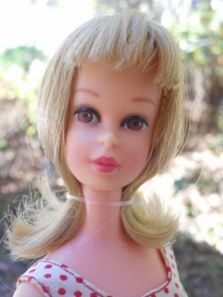 Vintage Barbie Blonde Straight Leg Francie Doll,  Swimsuit Large Checks