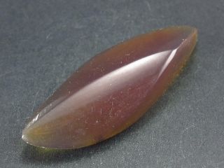 Rare Blue Amber Tumbled Stone From Sumatra - 2.  4 " - 7.  8 Grams