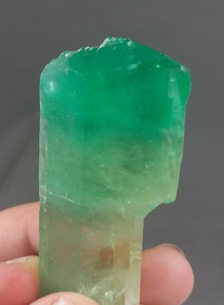 333 Carat Top Quality Lush Green Hiddenite Kunzite Crystal @afg