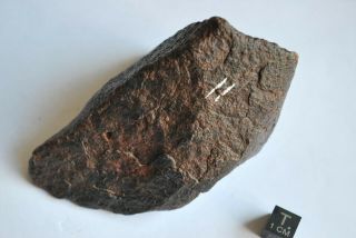 Meteorite Jah Xxx Complete Specimen 348 Grams