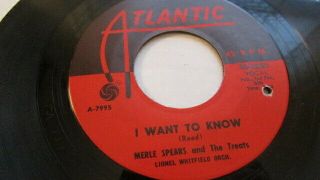 Killer Breed R&b Mod Northern Soul 45 - Merle Spears - I Want To Know - Atlantic
