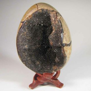 3.  4 " Hollow Septarian Dragon Stone Egg Sphere W/ Stand - Madagascar