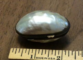 Lovely French Antique Mother - Of - Pearl Pill Box? Late 19th Century