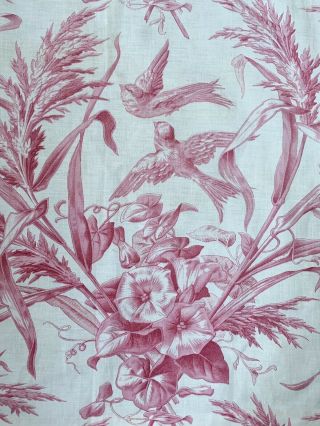 Antique French Floral And Bird Toile Fabric
