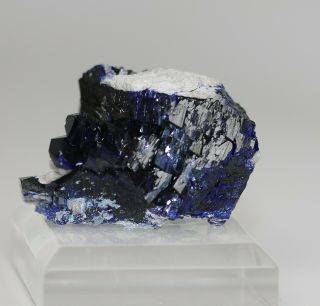 Azurite Crystal Cluster,  Milpillas Mine,  Mexico Maz645