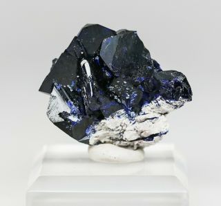 Azurite Crystal Cluster,  Milpillas Mine,  Mexico Maz644