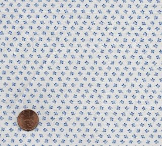 Antique Fabric 1880 - 1910 Blue Neats On White Background