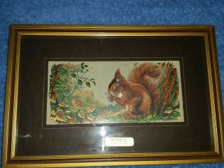 J&j Cash Framed Woven Silk Embroidery Of A Red Squirrel -