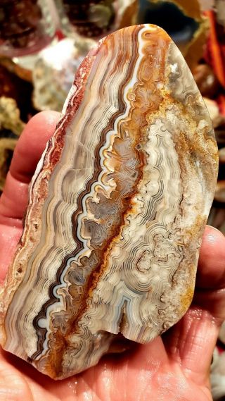 mexican crazy lace agate rough Lapidary display 2