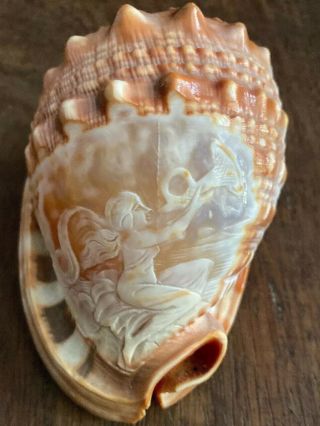 Small Vintage Conch Shell W/ Carved Goddess With Horn - Cameo