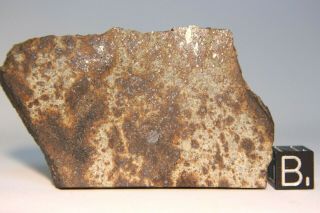 Nwa 7650 L6 Chondrite Meteorite 39.  5 Gram Part Slice With Metal