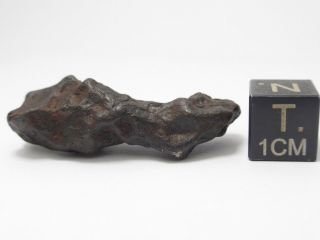 14.  12 G Canyon Diablo Iron Meteorite
