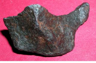 Canyon Diablo Meteorite - 19.  6 Gram Individual