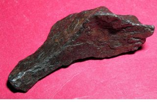 Canyon Diablo meteorite - 19.  6 gram individual 3