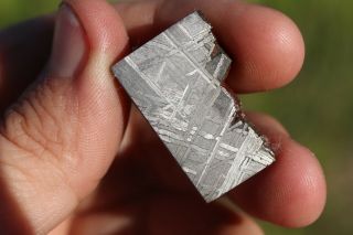 Muonionalusta Meteorite Etched Part Slice 10.  2 Grams