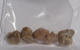 Set Of 5 Rough Scheelite Xls - - Pilares Mine,  Mexico - - Fluorescent - - Burminco Label