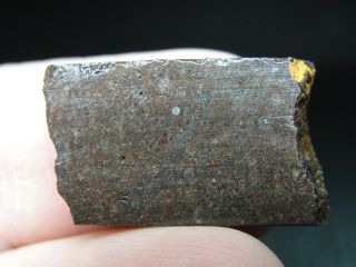 Nwa 10059 Official Meteorite - H3.  9 Type 3 Chondrite - G594 - 0024 - 2.  46g