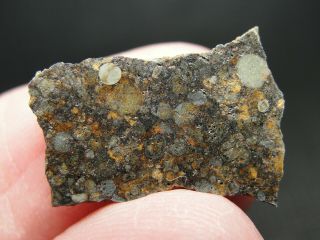 Nwa 10442 Official Meteorite - H3.  9 Type 3 Chondrite - G640 - 0092 - 1.  03g W/coa
