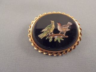 Antique Italian Micromosaic Brooch Two Birds On Branch
