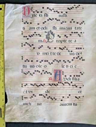 Lg.  Liturgical Music Manuscript,  Antiphonary Lf,  Vellum,  Handptd.  Initials,  C.  1500 12a