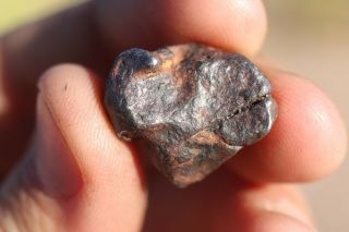 Canyon Diablo Meteorite Individual 8.  9 Grams