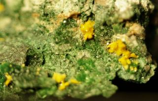 Kasolite,  Torbernite Uranium Crystals On Matrix Fine Micromount Musonoi,  Congo
