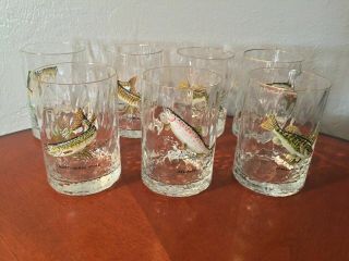 Set Of 7 Vintage Hand Painted Gold Rimmed Glasses Freshwater Gamefishes Adams