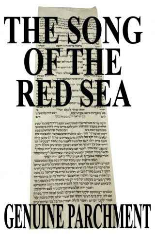 Rare Torah Bible Manuscript Vellum Leaf Judaica 400 Yrs Germany