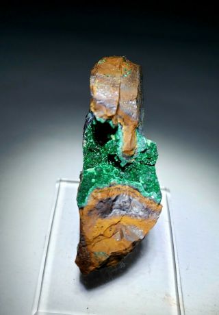 Stunning - Green Malachite Crystals In Cuprite Matrix,  Ojuela Mine Mexico
