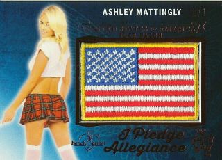 Ashley Mattingly 2018 Benchwarmer Hft Pledge Allegiance Flag " X Rare " Red 1/1