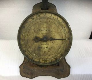 Antique Columbia Family Scale 24 LBS.  Landers,  Frary,  Clark 2