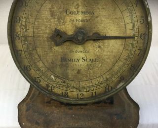 Antique Columbia Family Scale 24 LBS.  Landers,  Frary,  Clark 3