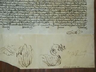 RARE Large Papal Bull of Pope Clement XII on Parchment,  Dated 1733 3
