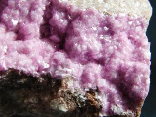 A Big 100 Natural Cobalto Calcite Crystal Cluster From The Congo 294gr e 2