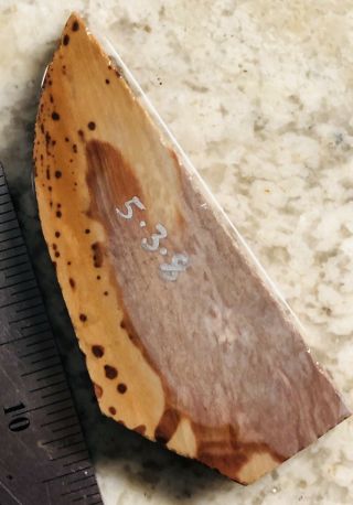 5•3•8 Painted Buffalo River Flint Knapping Primitive Knife Blade Preform Slab