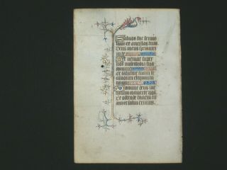Rare Illuminated Vellum Manuscript Book Of Hours Leaf,  Dragon Miniature,  C.  1400
