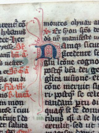 Medieval Manuscript Leaf From 14th Century Breviary Use Of Cologne