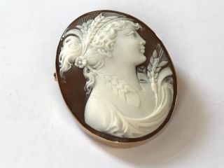 Antique Vintage 9 Ct Gold Greek Roman Goddess Shell Cameo Brooch Pin