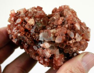 Hexagonal Aragonite Crystals From Morocco 1901 • 11.  3 Oz.