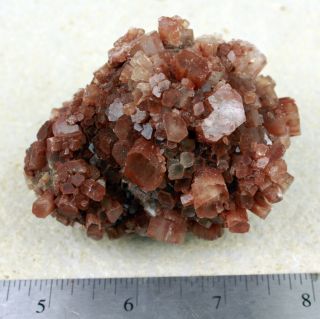 Hexagonal Aragonite Crystals from Morocco 1901 • 11.  3 oz. 2