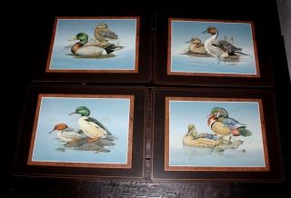 Pimpernel British Duck Place Mats Set Of 4 Cork Backed 16 " X12 "