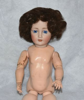 Antique 18 " Harmus 5 Bisque Head Doll Composition & Wood Jointed Body - Germany