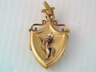 Lg.  Antique Art Nouveau Solid 14k Gold Photo Locket Pendant Shield Shape W Pearl