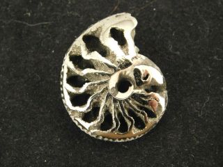 A Small Polished 100 Natural Pyrite Ammonite Fossil Mikhaylov Mine Russia 1.  18 E