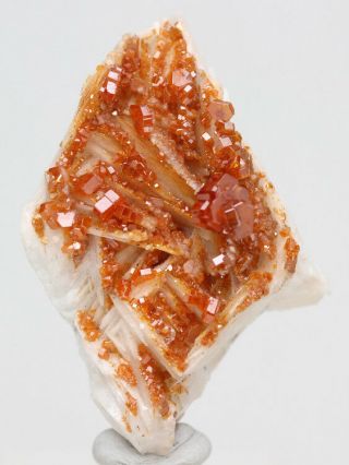 Vanadinite Barite Crystal Cluster Mineral Specimen Matrix Gemstone Morocco
