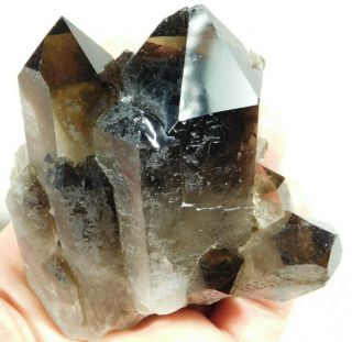 SEVEN Perfect Points on This SMOKY Quartz Crystal Cluster From Brazil 328gr e 3