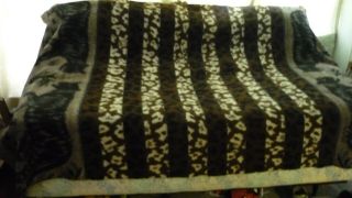 Tiger Queen Size 100 Pure Wool Blanket Reversible Made Usa Stunning